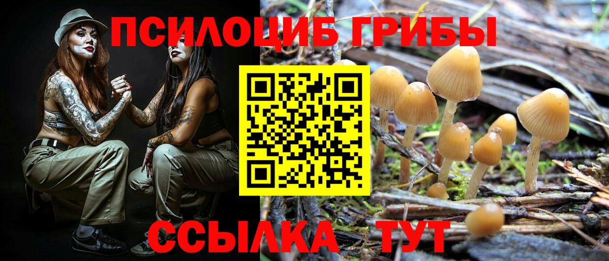 Псилоцибиновые грибы GOLDEN TEACHER Среднеуральск
